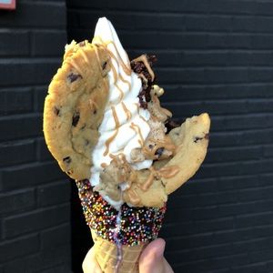 Meet your Posher, Louise